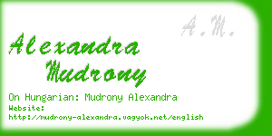 alexandra mudrony business card